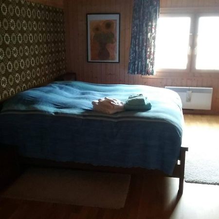 Walser Chalet Casa Paterna Дизентис Екстериор снимка