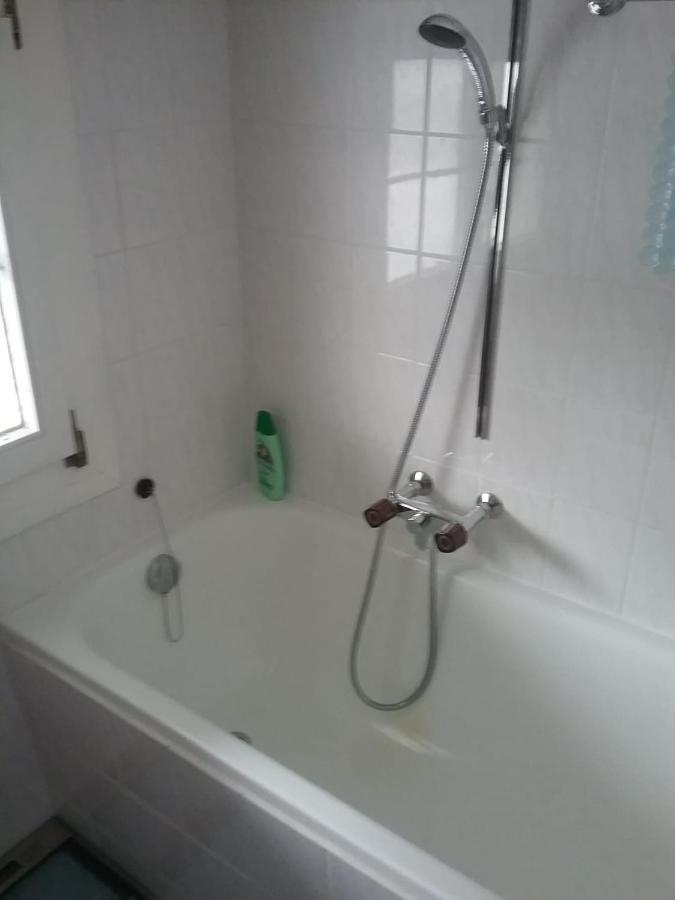 Walser Chalet Casa Paterna Дизентис Екстериор снимка